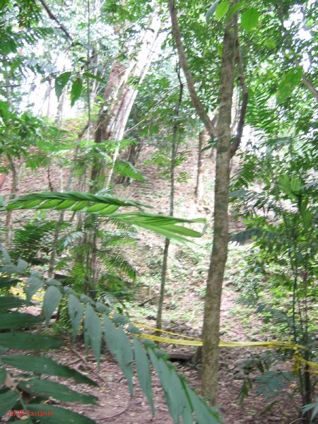 23_3 Site Pallenque  191.jpg