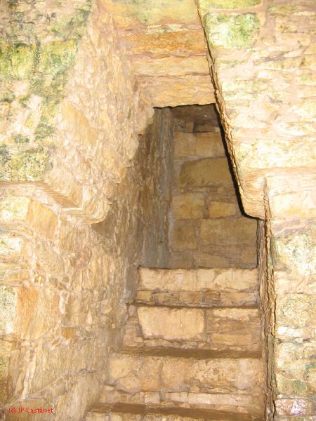 23_3 Site Pallenque  025.jpg