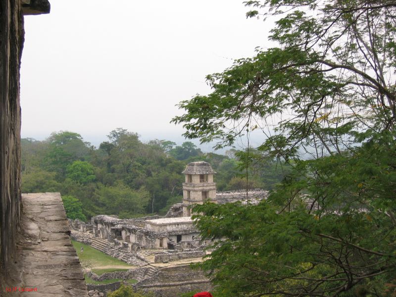 23_3 Site Pallenque  203.jpg