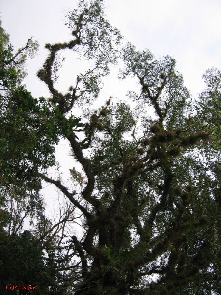 23_3 Site Pallenque  219.jpg