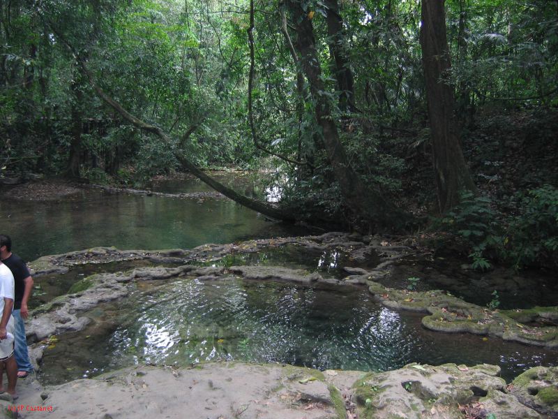 23_3 Site Pallenque  240.jpg