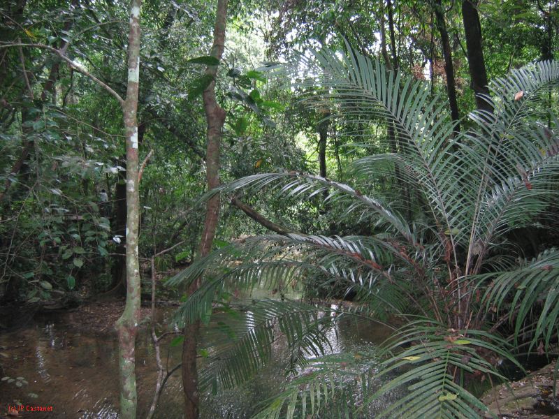 23_3 Site Pallenque  242.jpg