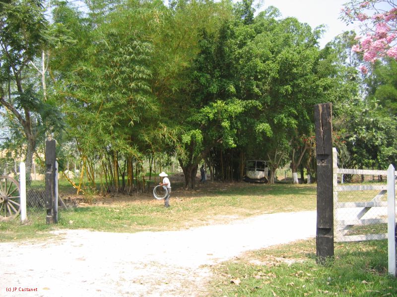 23_3 Site Pallenque  003.jpg