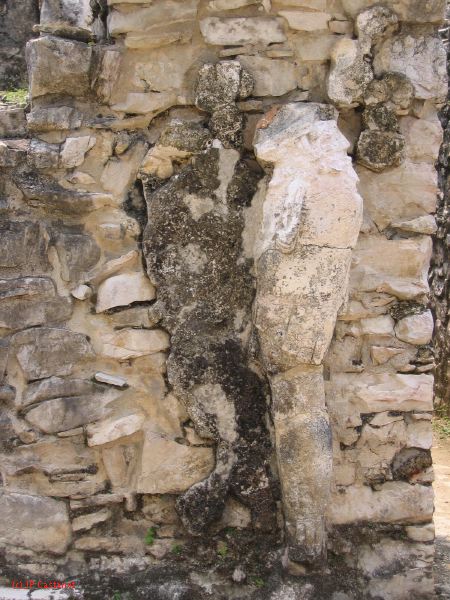 23_3 Site Pallenque  061.jpg