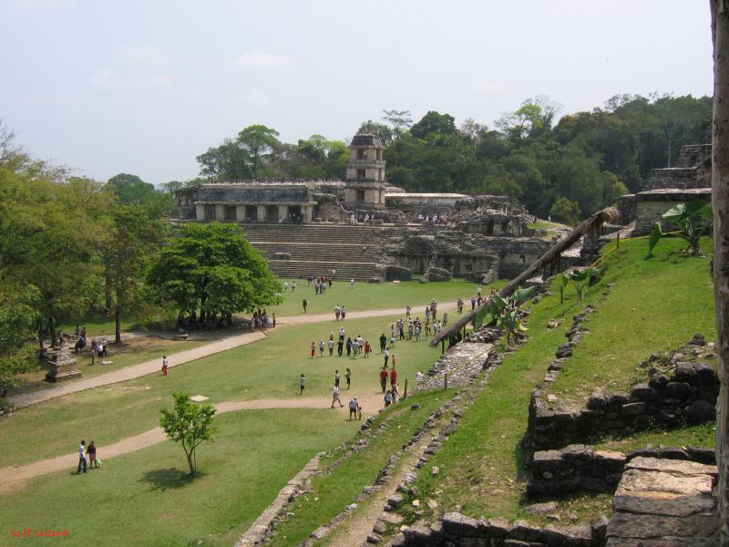 23_3 Site Pallenque  007.jpg