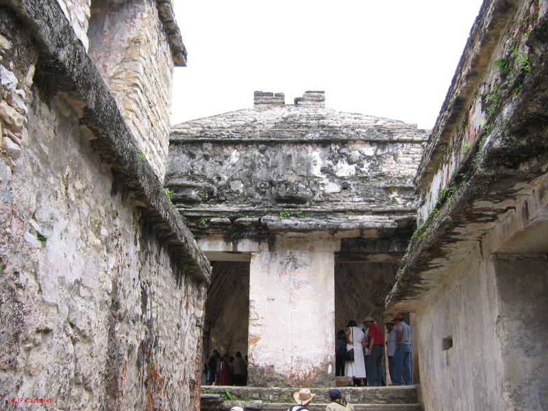 23_3 Site Pallenque  064.jpg