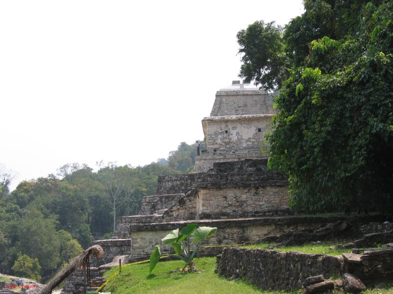 23_3 Site Pallenque  013.jpg