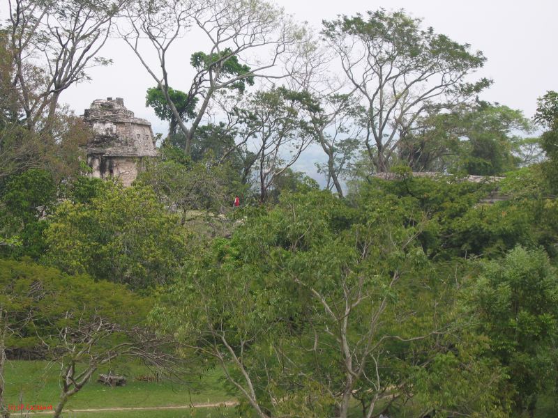 23_3 Site Pallenque  104.jpg