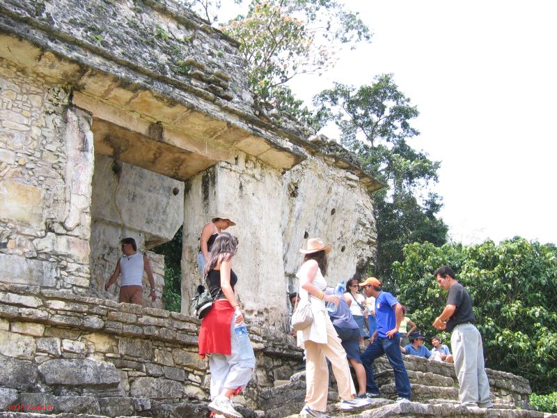 23_3 Site Pallenque  014.jpg