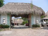 23_3 Site Pallenque  002.jpg