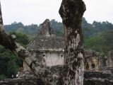 23_3 Site Pallenque  119.jpg