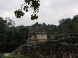 23_3 Site Pallenque  120.jpg