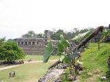 23_3 Site Pallenque  016.jpg