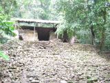 23_3 Site Pallenque  158.jpg