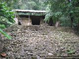 23_3 Site Pallenque  159.jpg