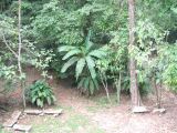 23_3 Site Pallenque  178.jpg