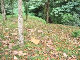 23_3 Site Pallenque  226.jpg