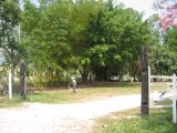 23_3 Site Pallenque  003.jpg