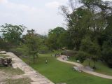 23_3 Site Pallenque  102.jpg