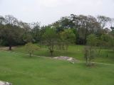 23_3 Site Pallenque  103.jpg