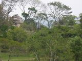 23_3 Site Pallenque  104.jpg