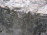 23_3 Site Pallenque  111.jpg
