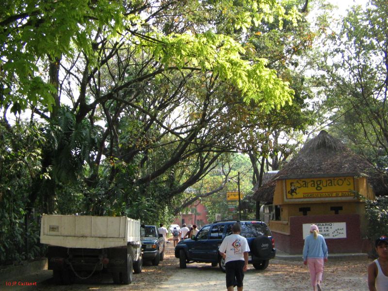 palenque  046.JPG