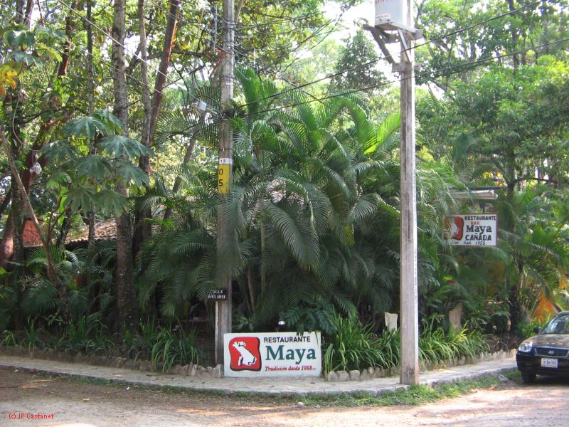 palenque  049.JPG