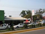 palenque  042.JPG