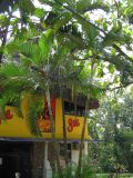 palenque  058.JPG