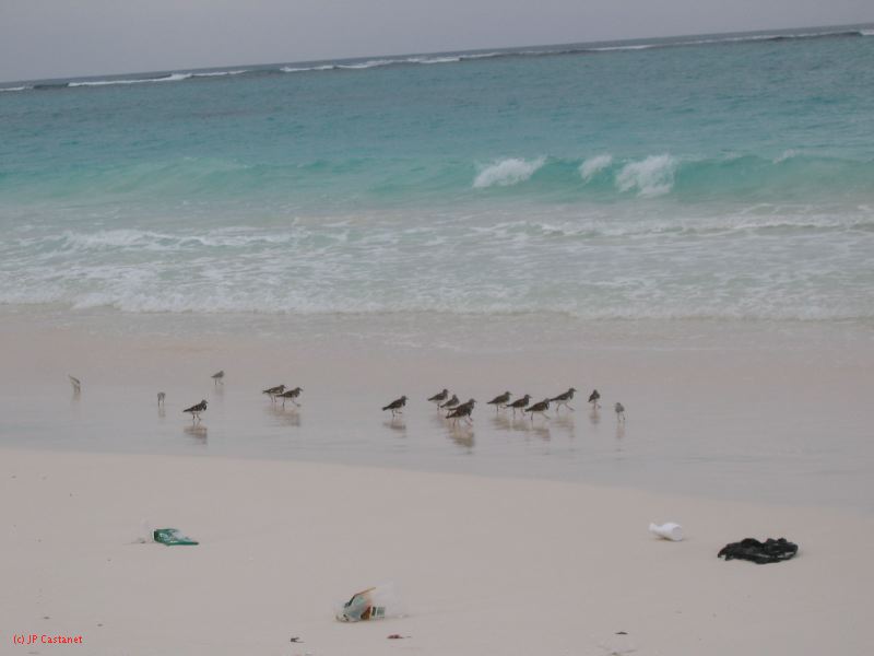 28_3 Playa del Camen  001.jpg