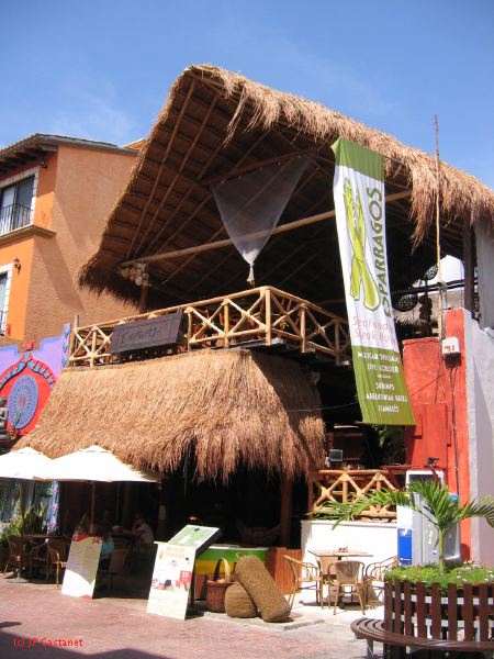 28_3 Playa del Camen  133.JPG