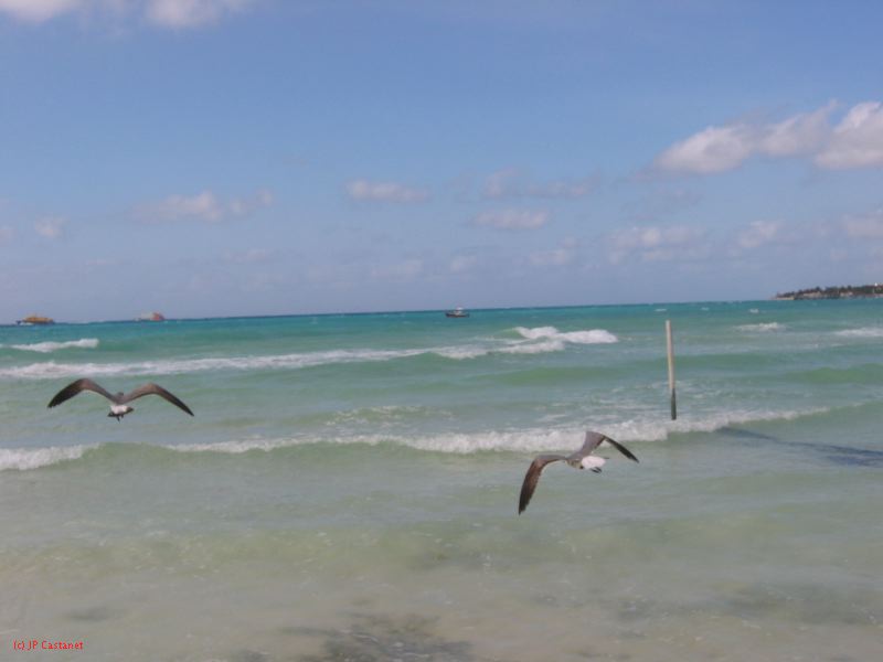 28_3 Playa del Camen  207.JPG