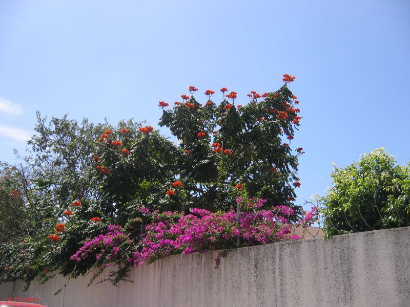 28_3 Playa del Camen  221.JPG