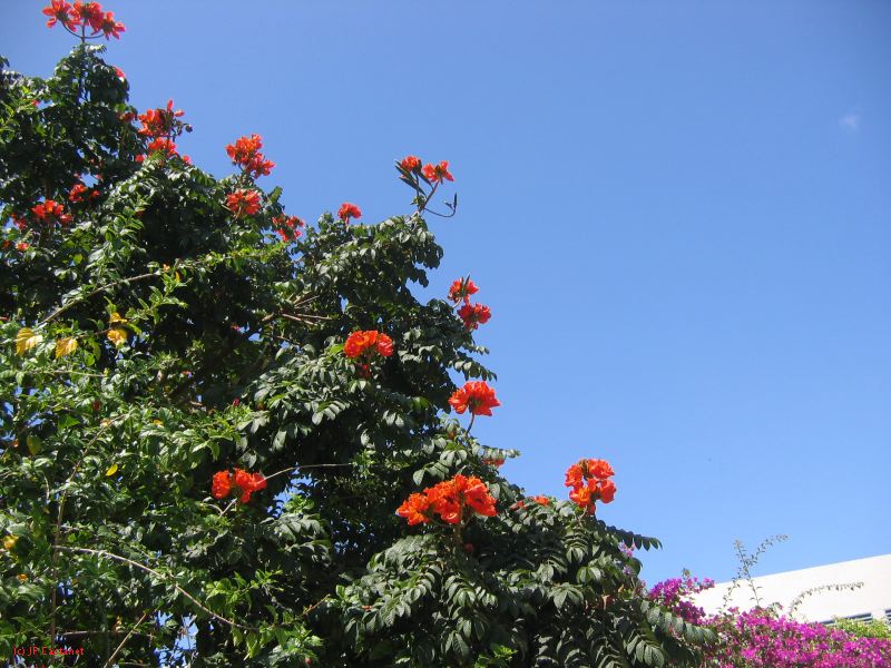 28_3 Playa del Camen  222.JPG