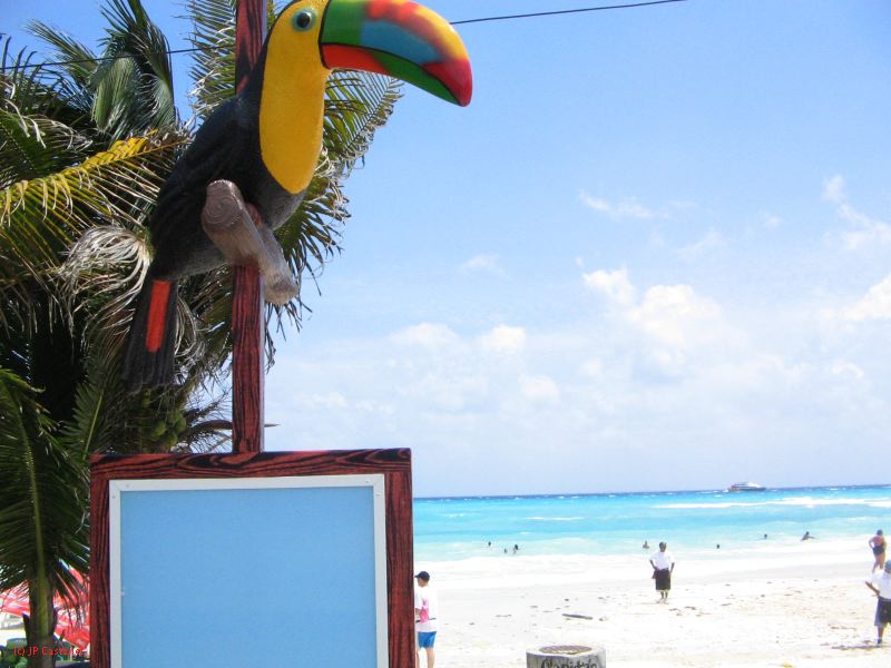 28_3 Playa del Camen  286.JPG