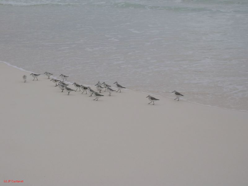 28_3 Playa del Camen  002.jpg