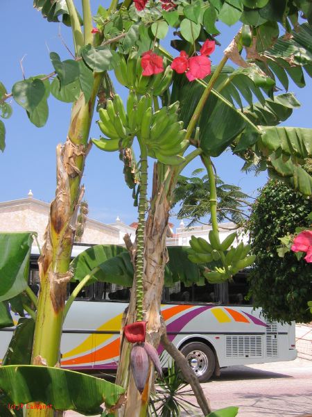 28_3 Playa del Camen  027.jpg