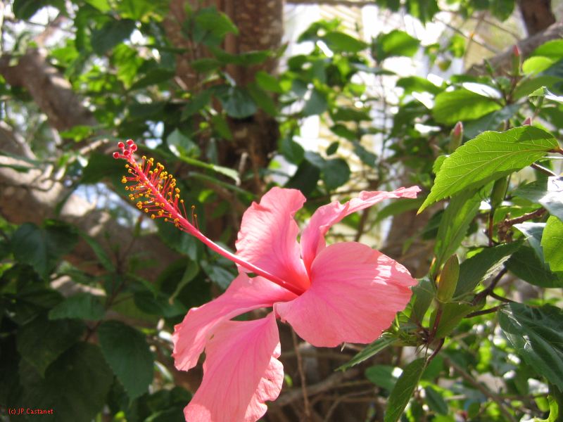 28_3 Playa del Camen  030.jpg