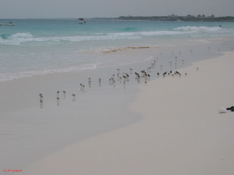 28_3 Playa del Camen  004.jpg