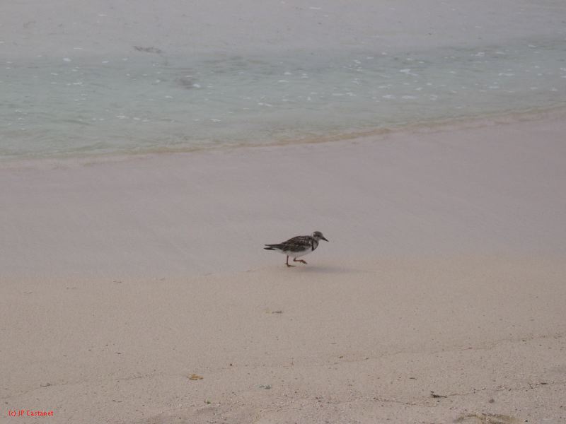28_3 Playa del Camen  072.JPG
