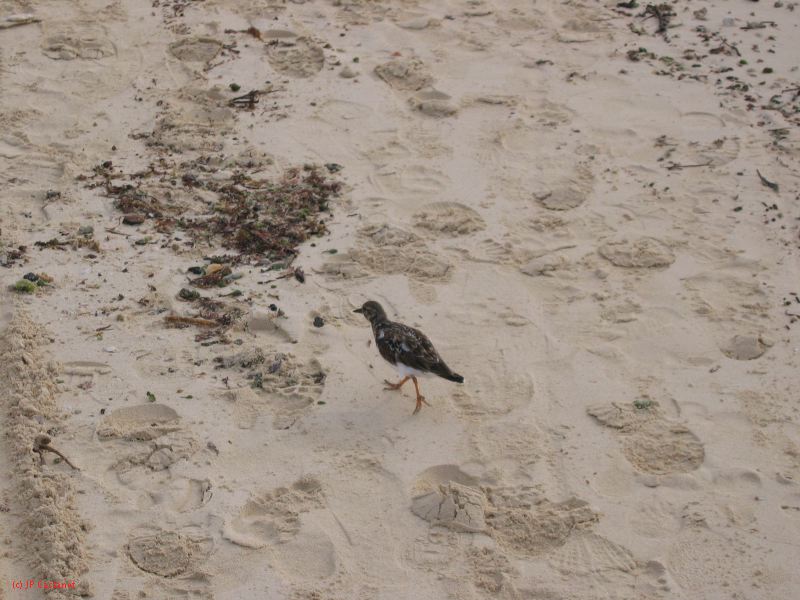28_3 Playa del Camen  075.JPG