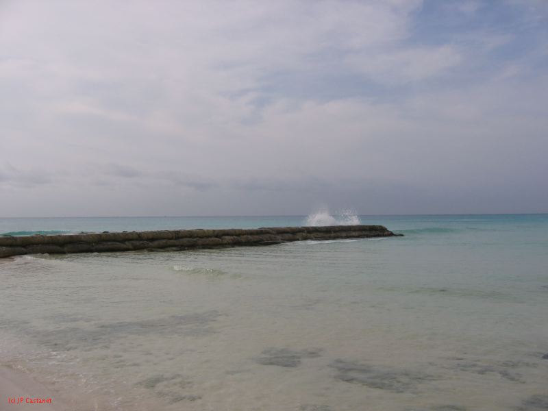 28_3 Playa del Camen  079.JPG