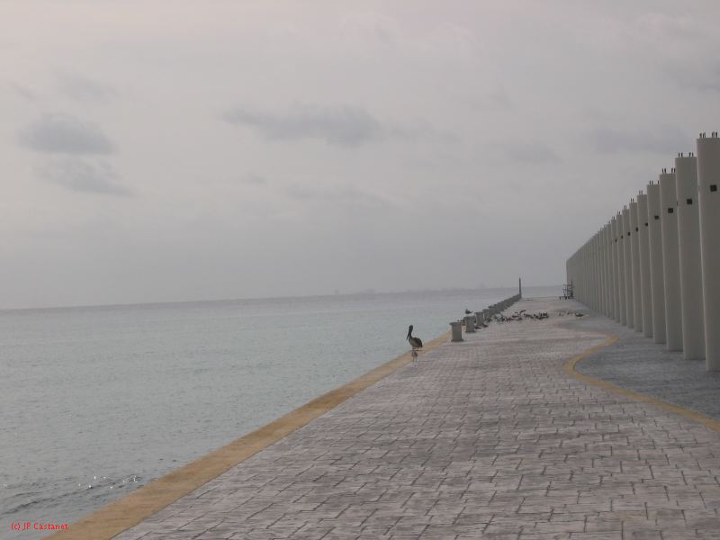 28_3 Playa del Camen  080.JPG