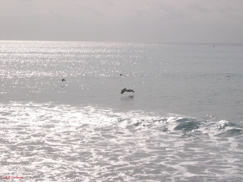 28_3 Playa del Camen  083.JPG
