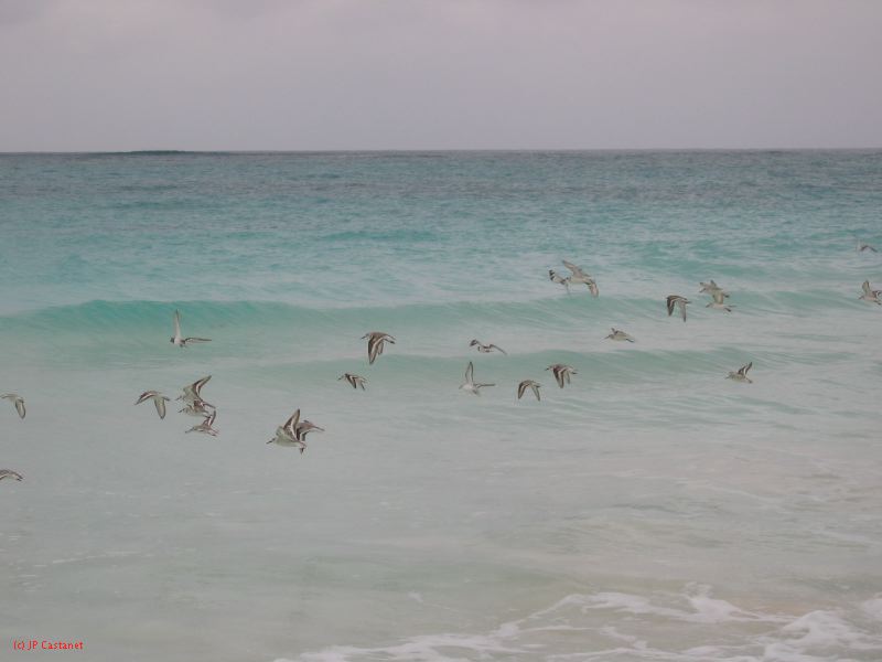 28_3 Playa del Camen  006.jpg