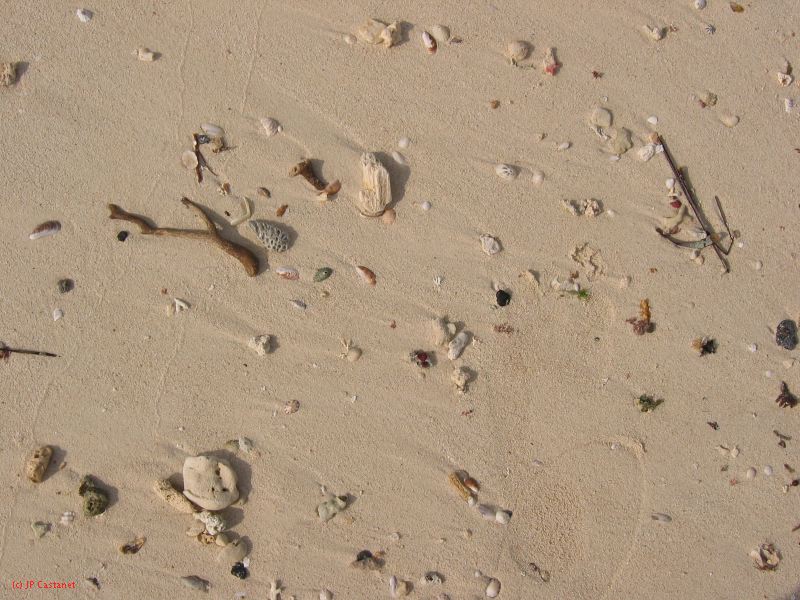 28_3 Playa del Camen  099.JPG