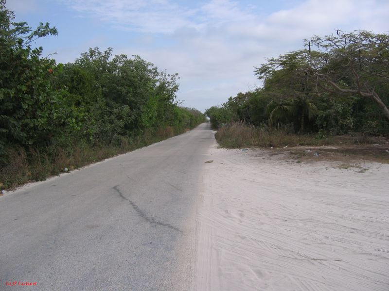 28_3 Playa del Camen  010.jpg