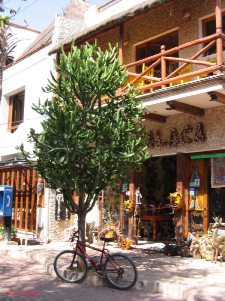 28_3 Playa del Camen  120.JPG