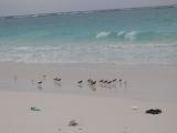 28_3 Playa del Camen  001.jpg